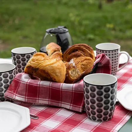 Locations Chez Corinne Et Gilles Appartement Marlenheim