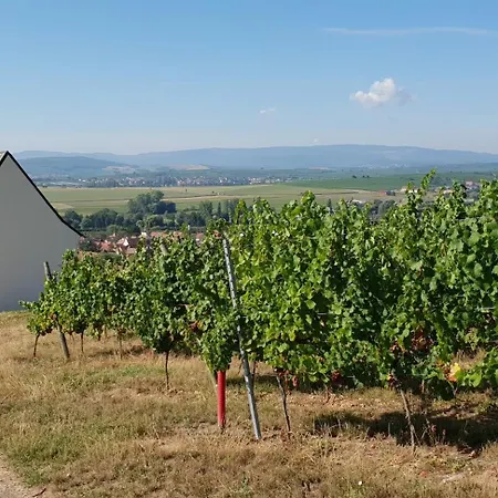 Locations Chez Corinne Et Gilles Appartement Marlenheim